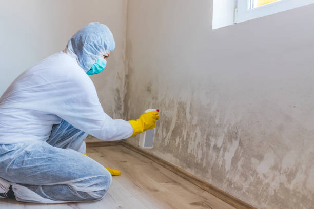 Hvac And Air Duct Mold Remediation inspection of HVAC system in Hughesville