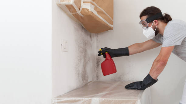 Attic Mold Remediation treatment on roof deck in Hughesville