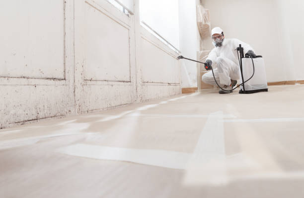 Black mold remediation team in Hughesville